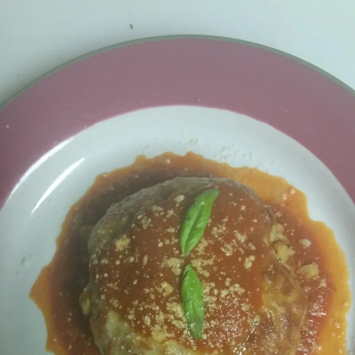 Home Made Rice Ball