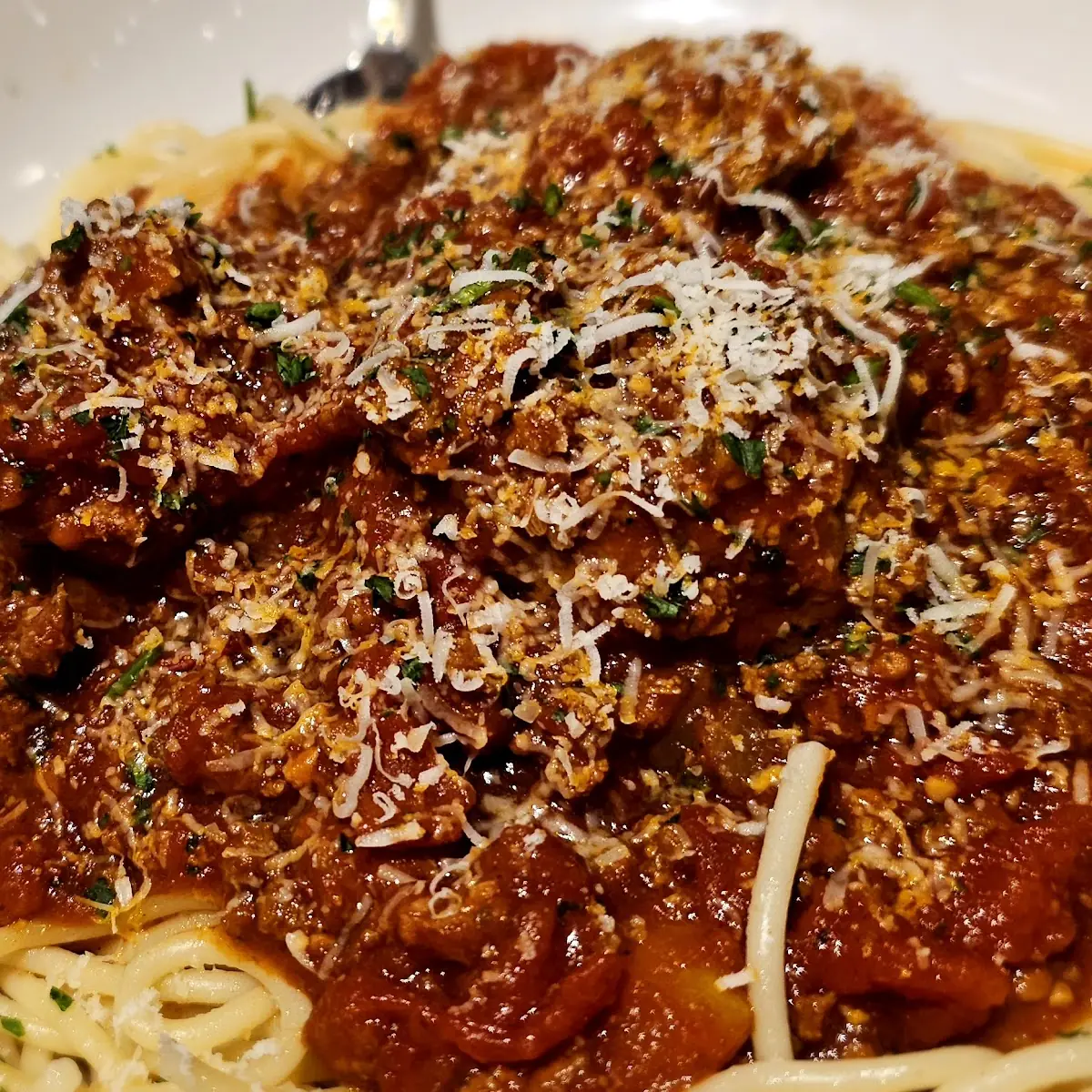 Braised Beef Bolognese