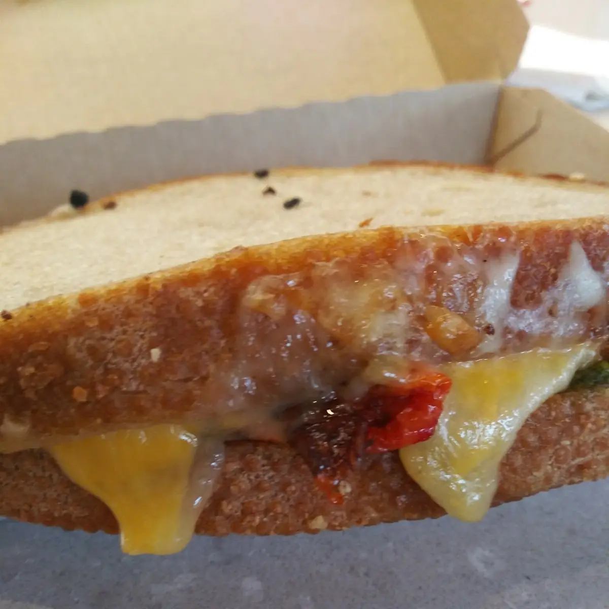 Avocado Cheese Sandwich