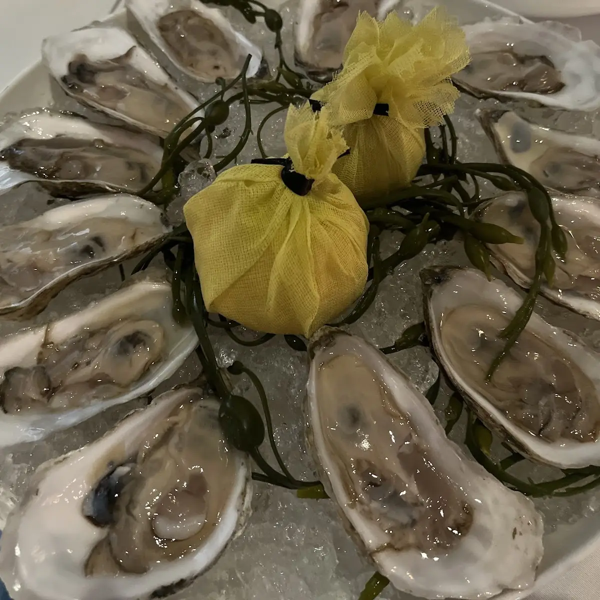 East Coast Oysters