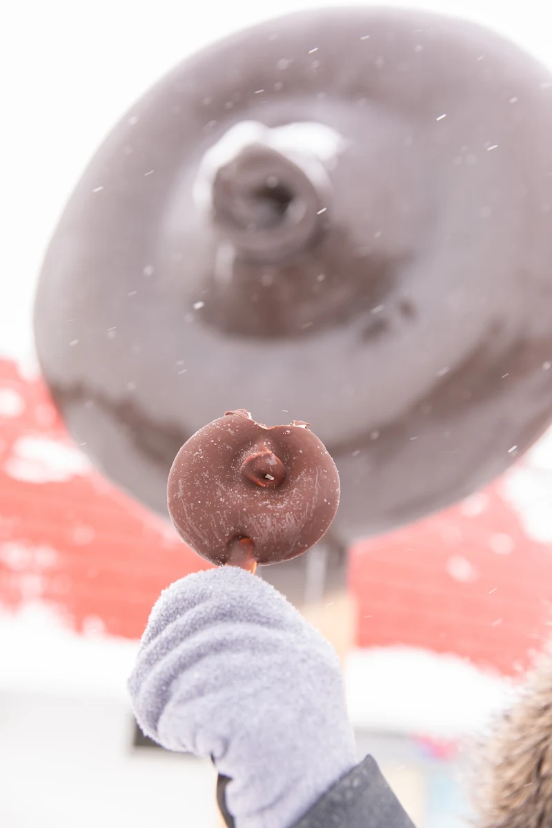 Doughnut