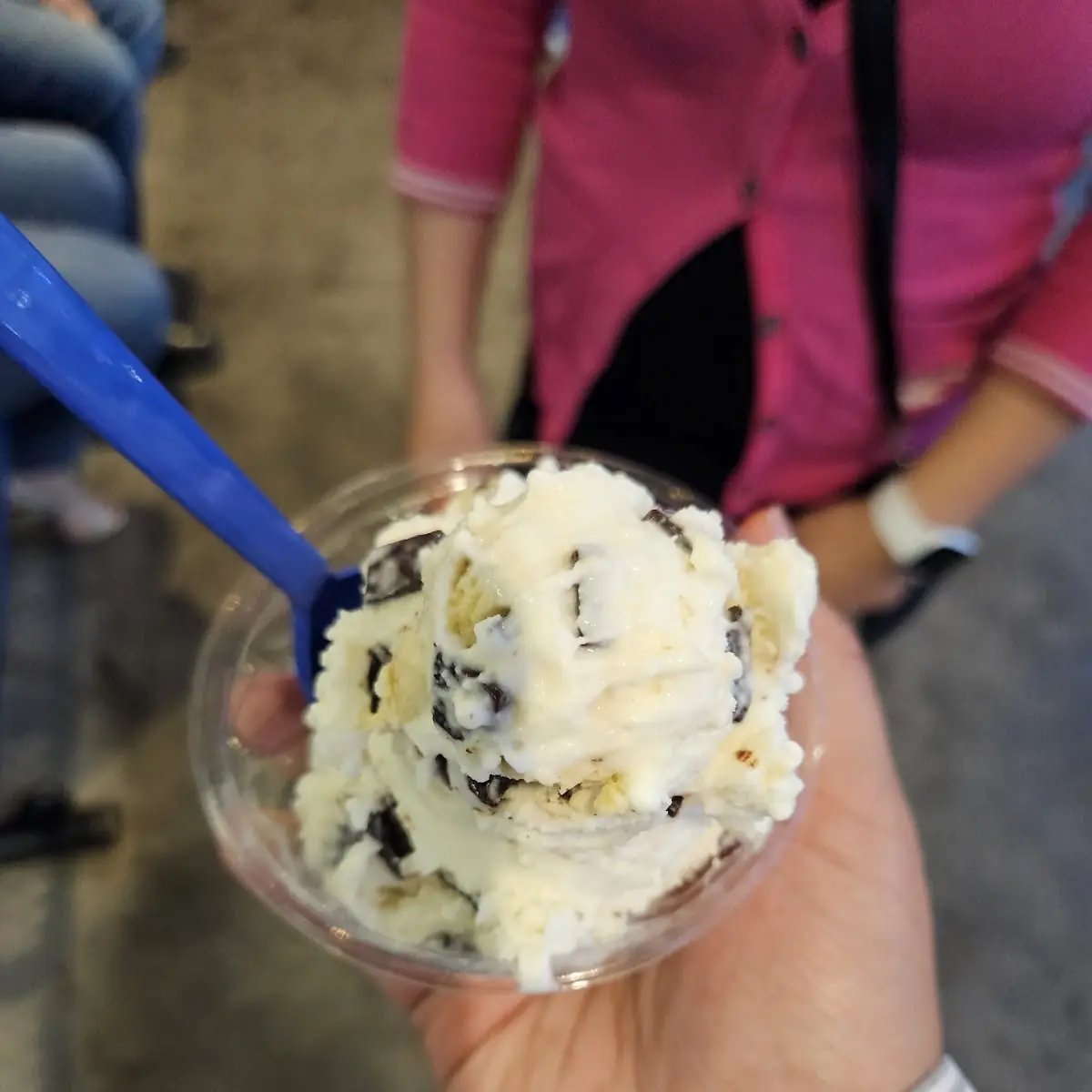 Chocolate Chip Cookie Dough