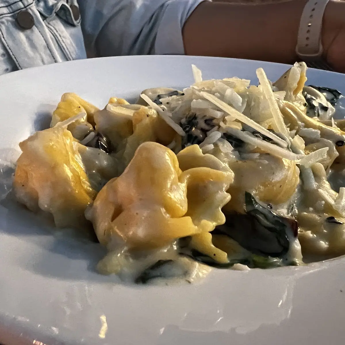 Mushroom & Chicken Tortellini