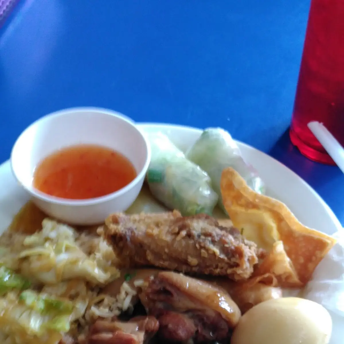 Fresh Spring Rolls Wantons Pork Friedrice