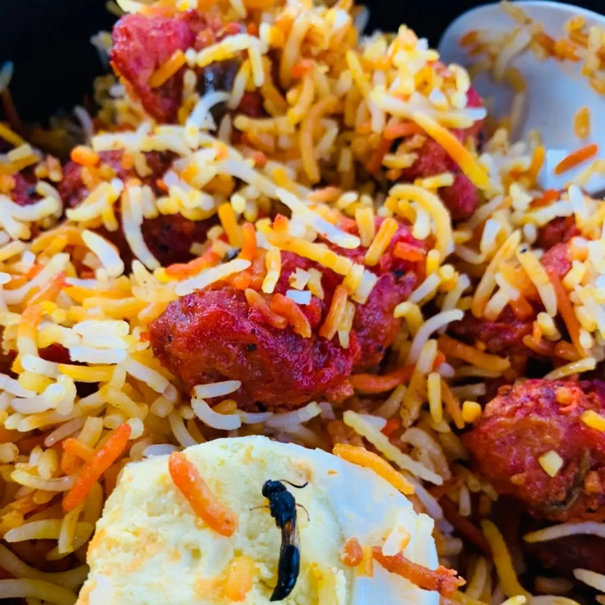 Avakaya Chicken Biryani