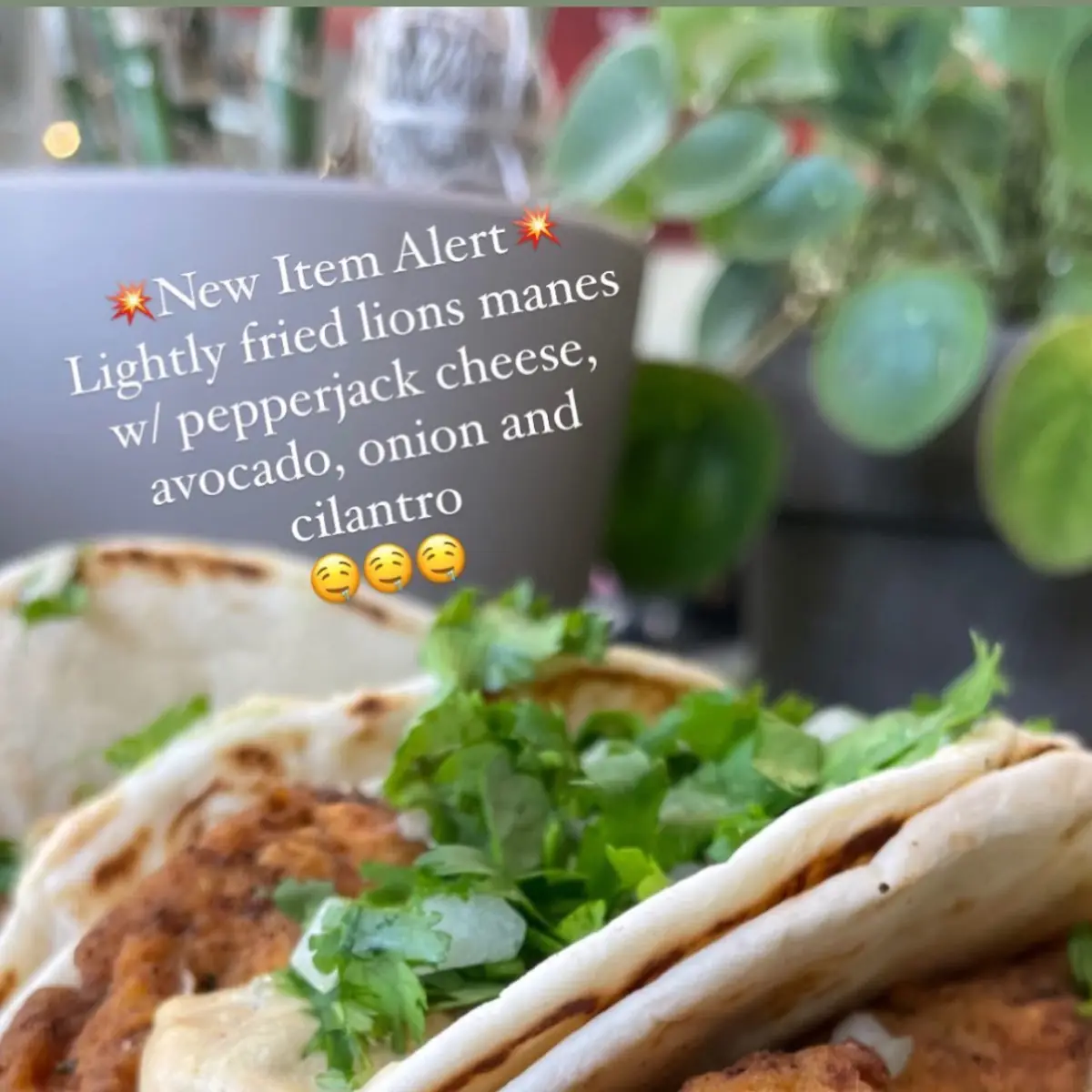 Vegan Chicken Parm