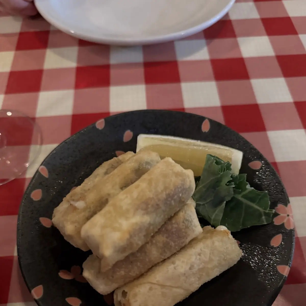 Italian Spring Roll