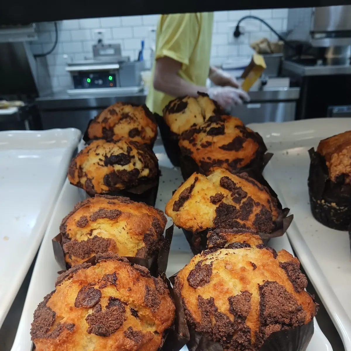 Chocolate Chip Muffins
