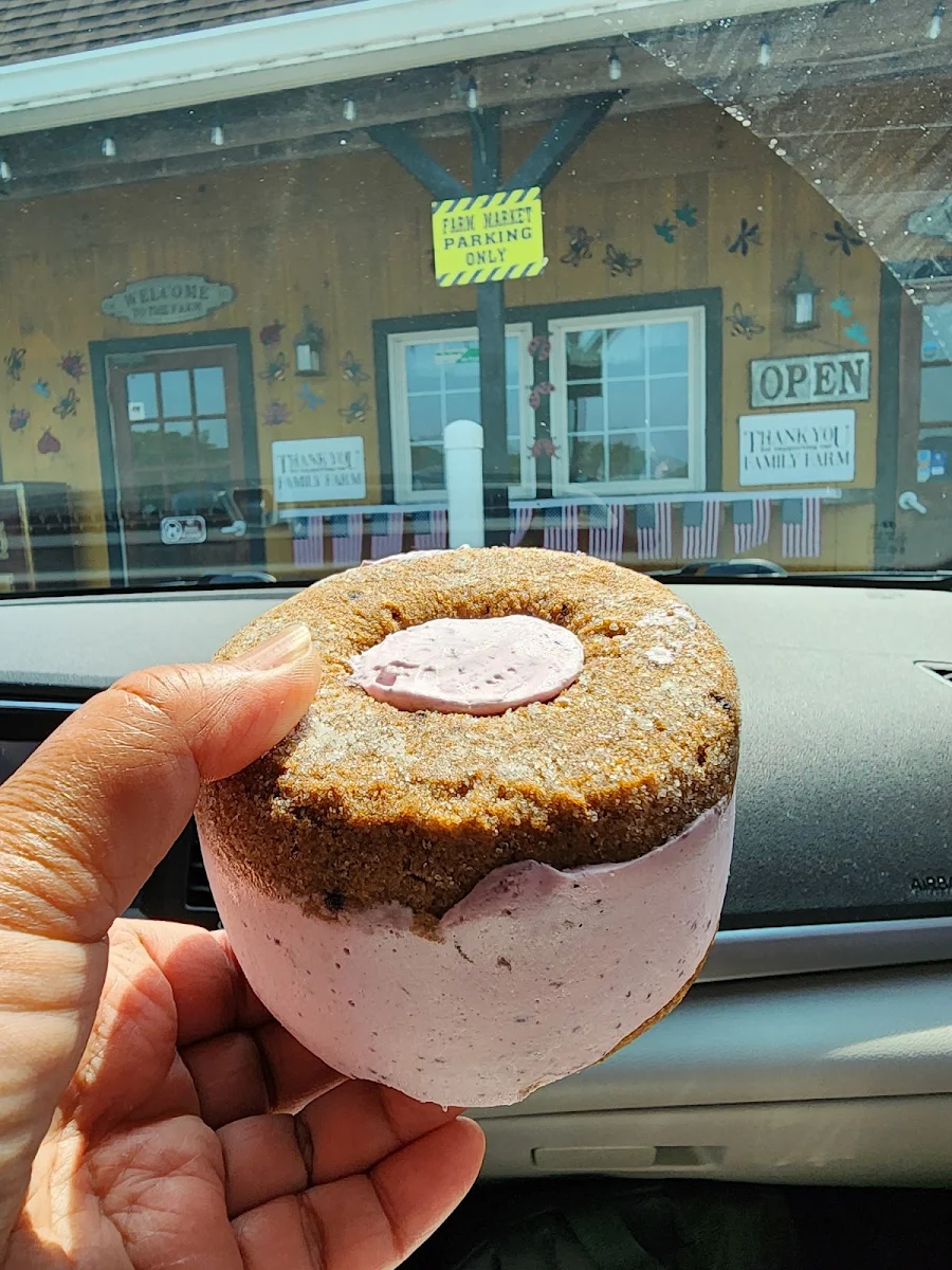 Blueberry Ice Cream Donut