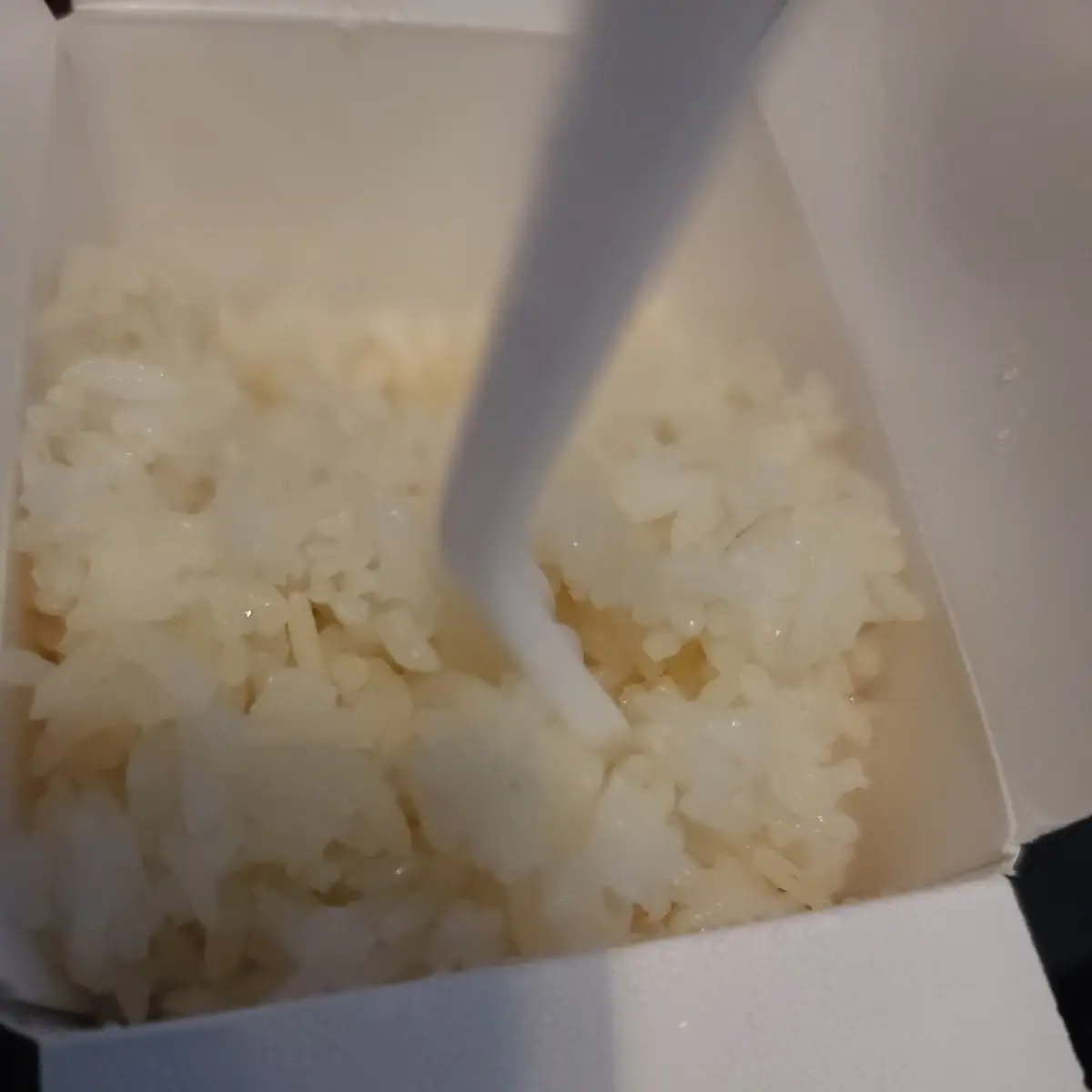White Rice