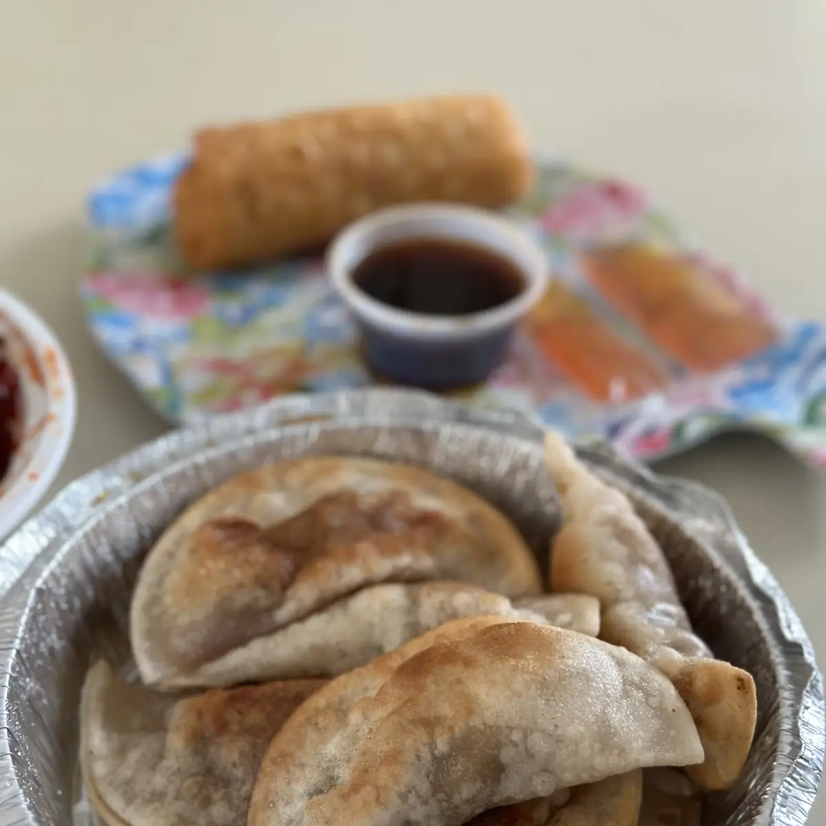 Pan Fried Dumplings