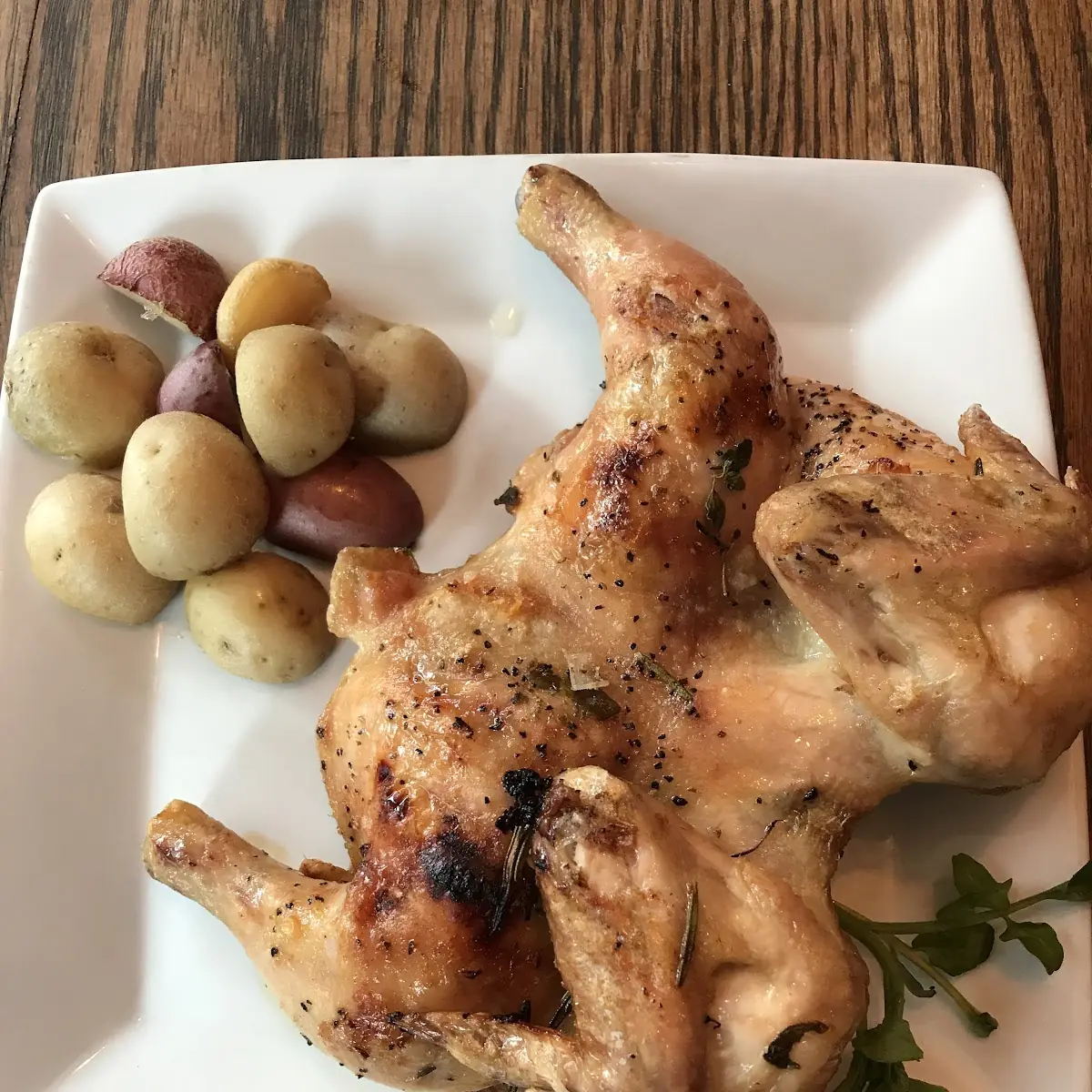 Grilled Cornish Hen