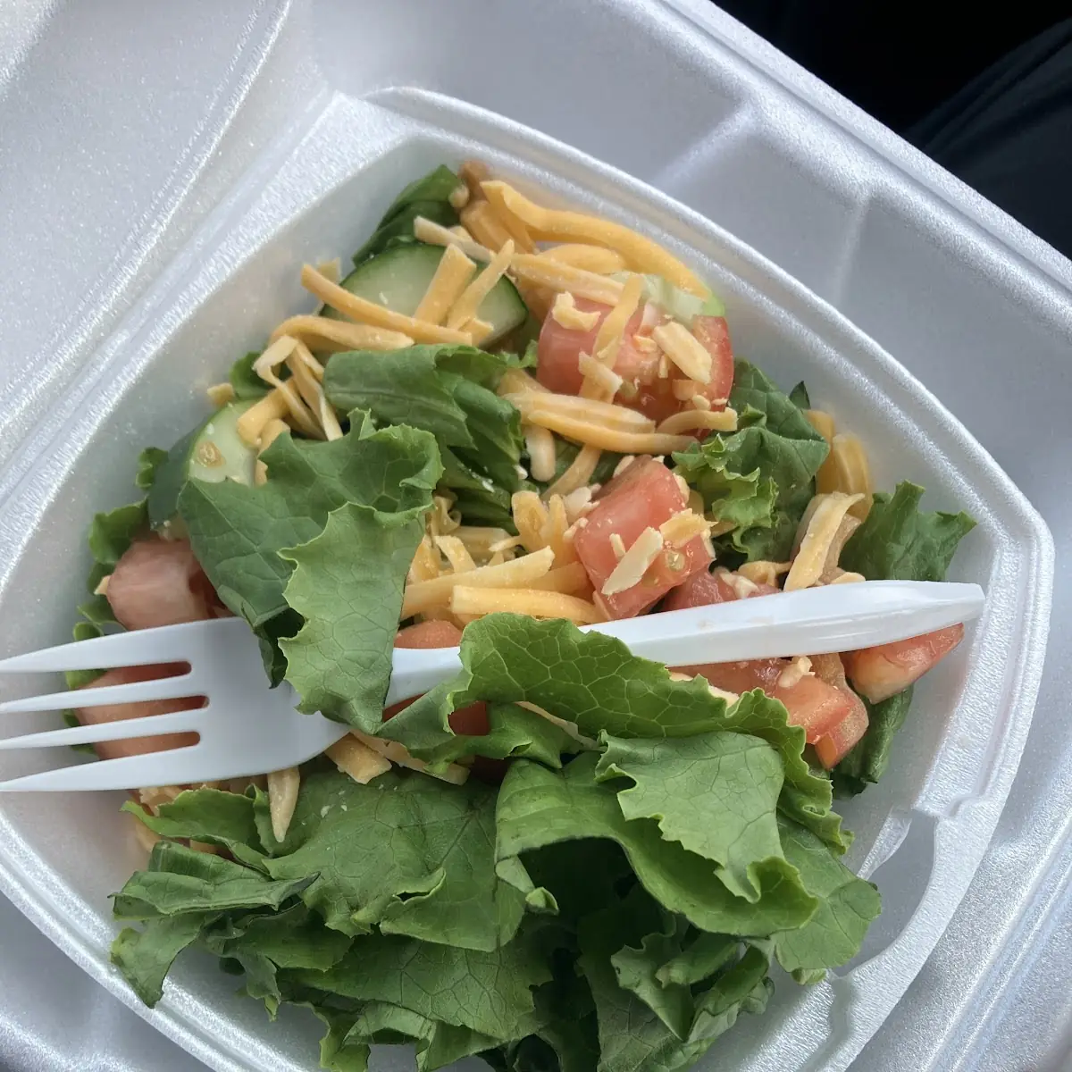 Garden Salad