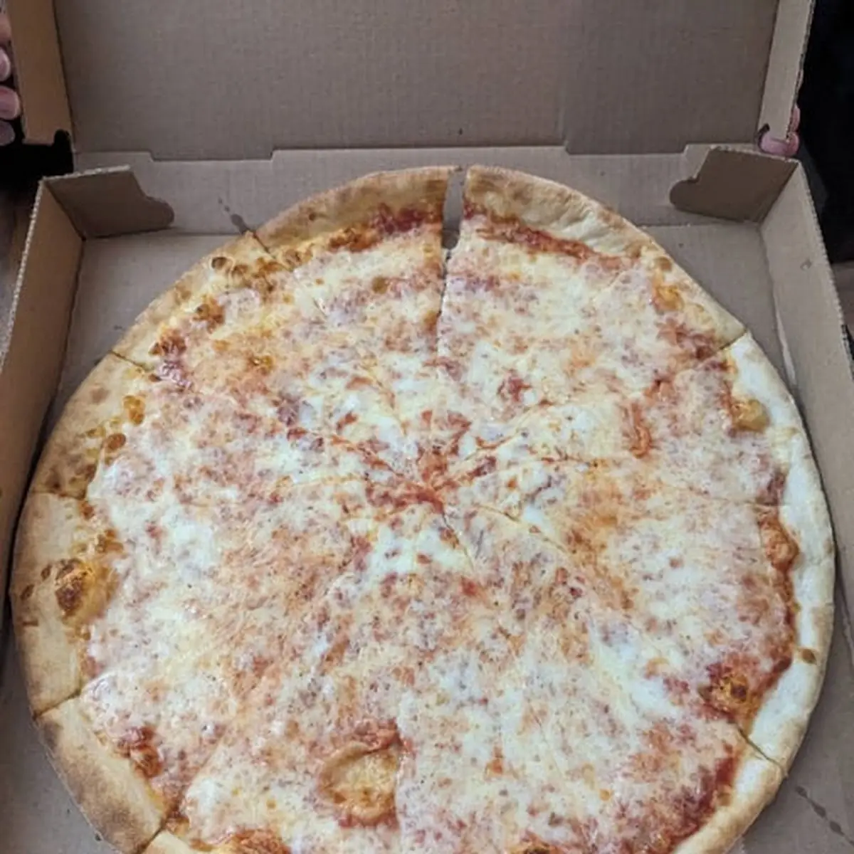 Plain Cheese Pizza