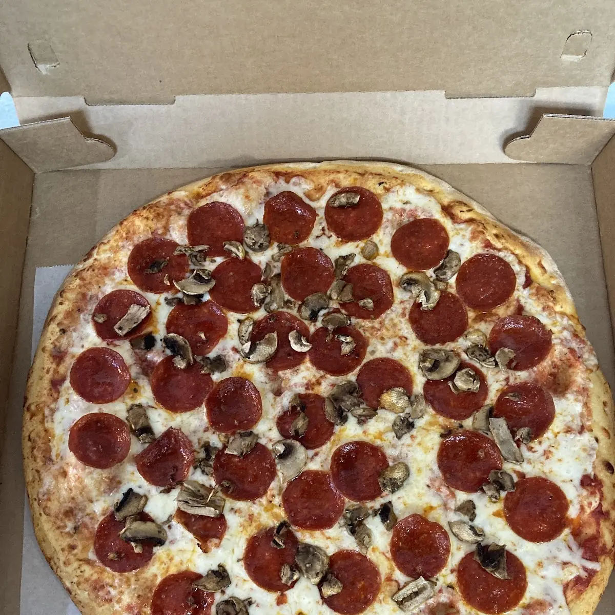Pizza Fries