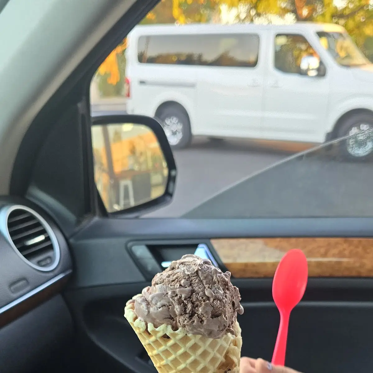 Chocolate Ice Cream Cone