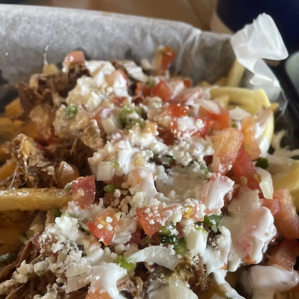 Carne Asada Fries