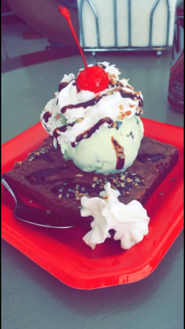 Mint Chocolate Chip Ice Cream