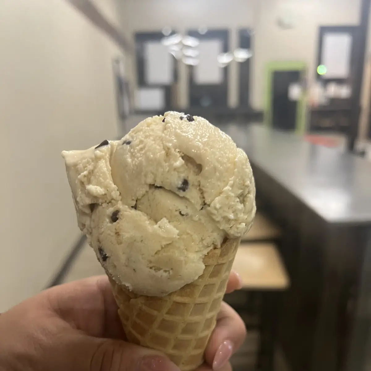 Chocolate Chip Ice Cream