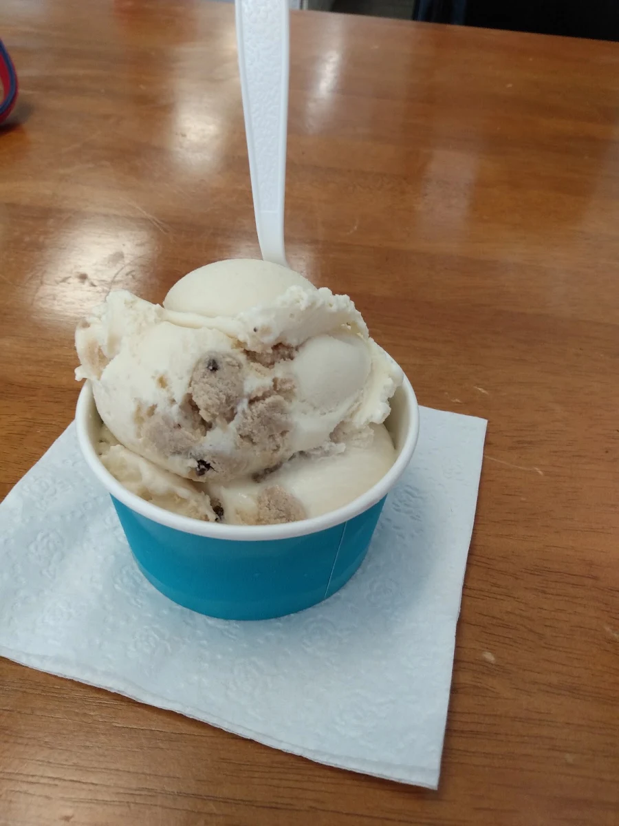 Chocolate Chip Cookie Dough