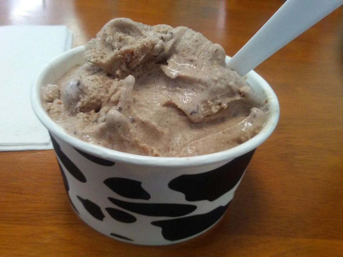 Chocolate Ice Cream