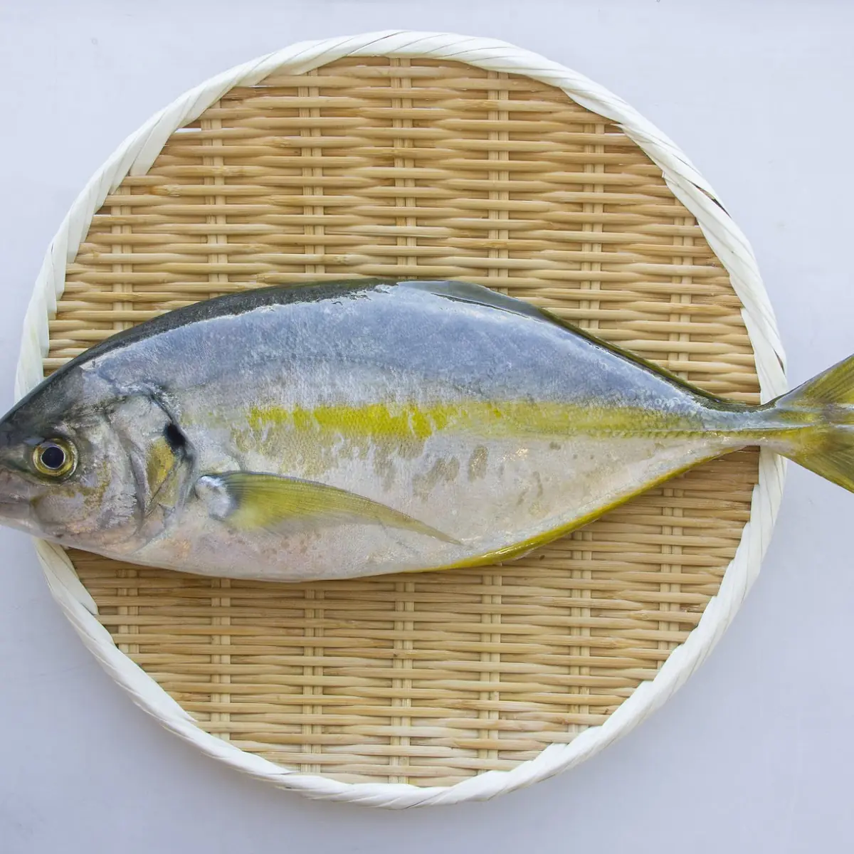 Shima-Aji