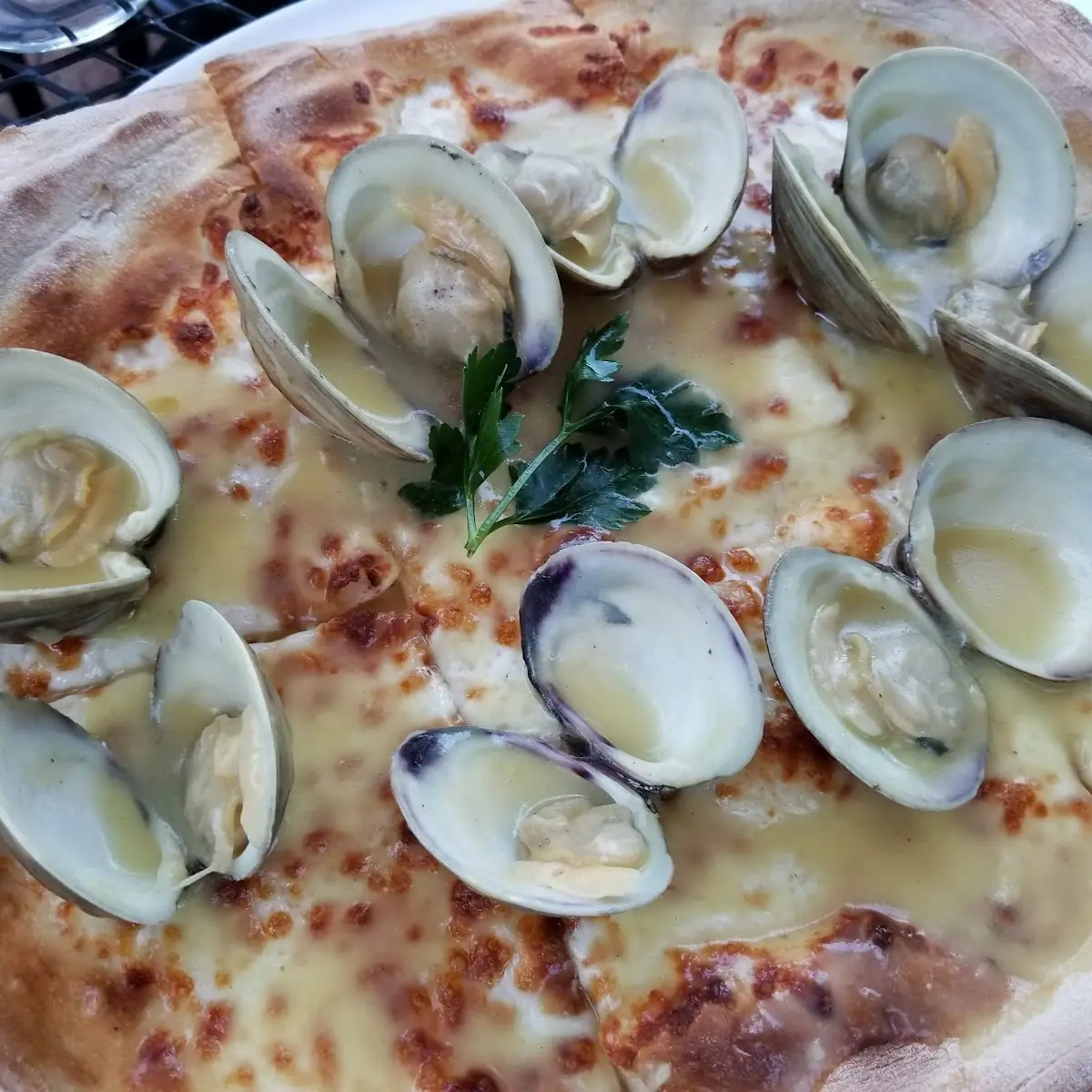 Clam Pizza