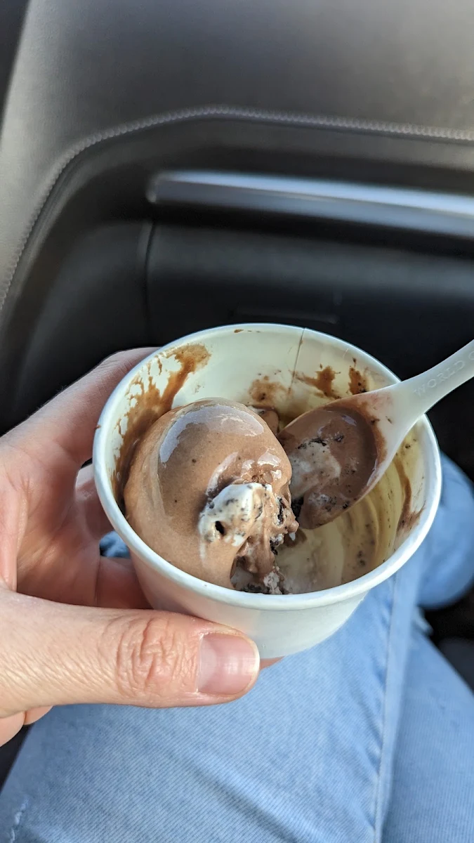 Chocolate Ice Cream