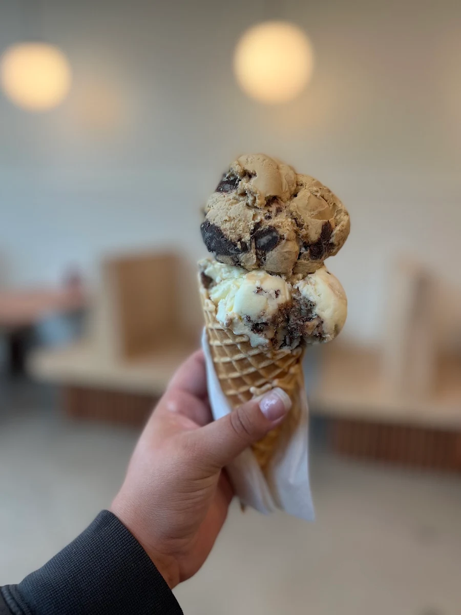 Double Scoop in Waffle Cone