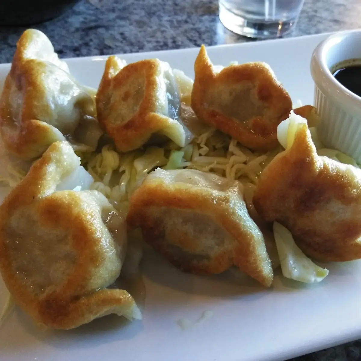 Pan-Fried Dumplings