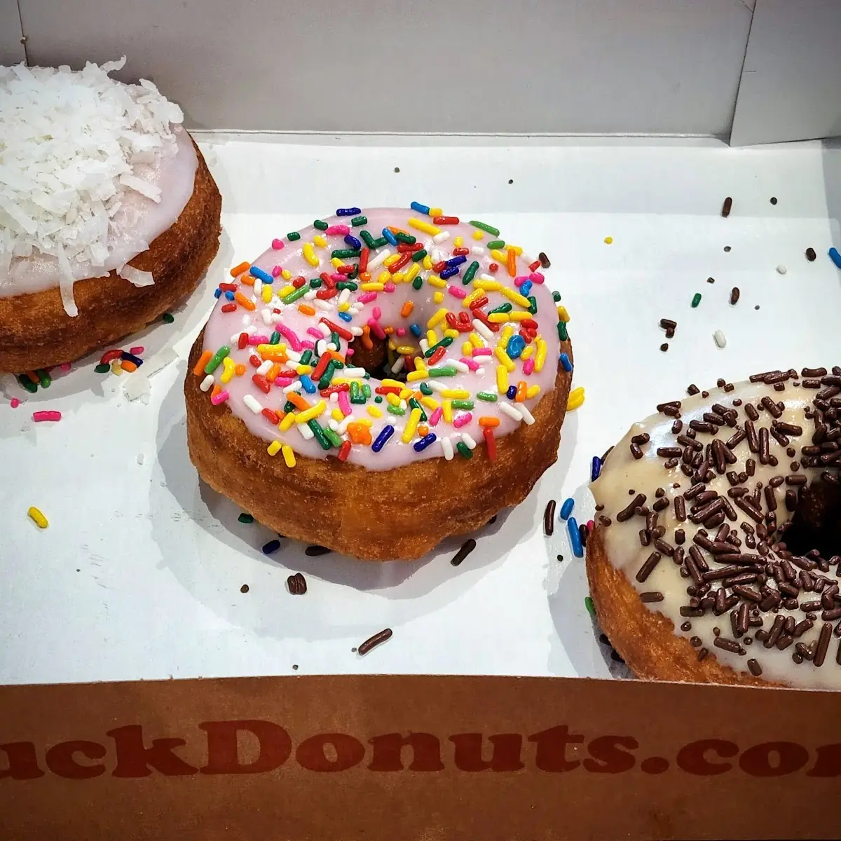 Doughnut