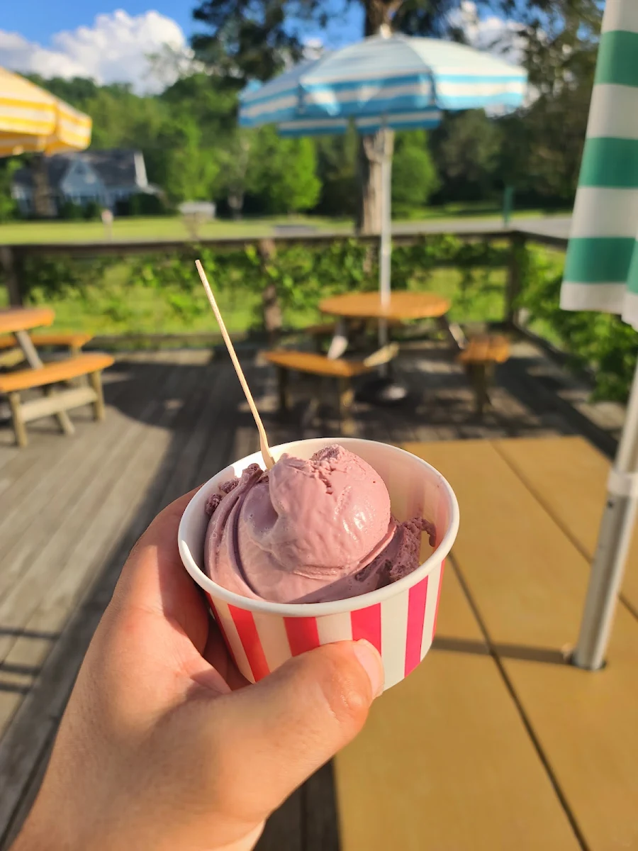 Chocolate Ice Cream