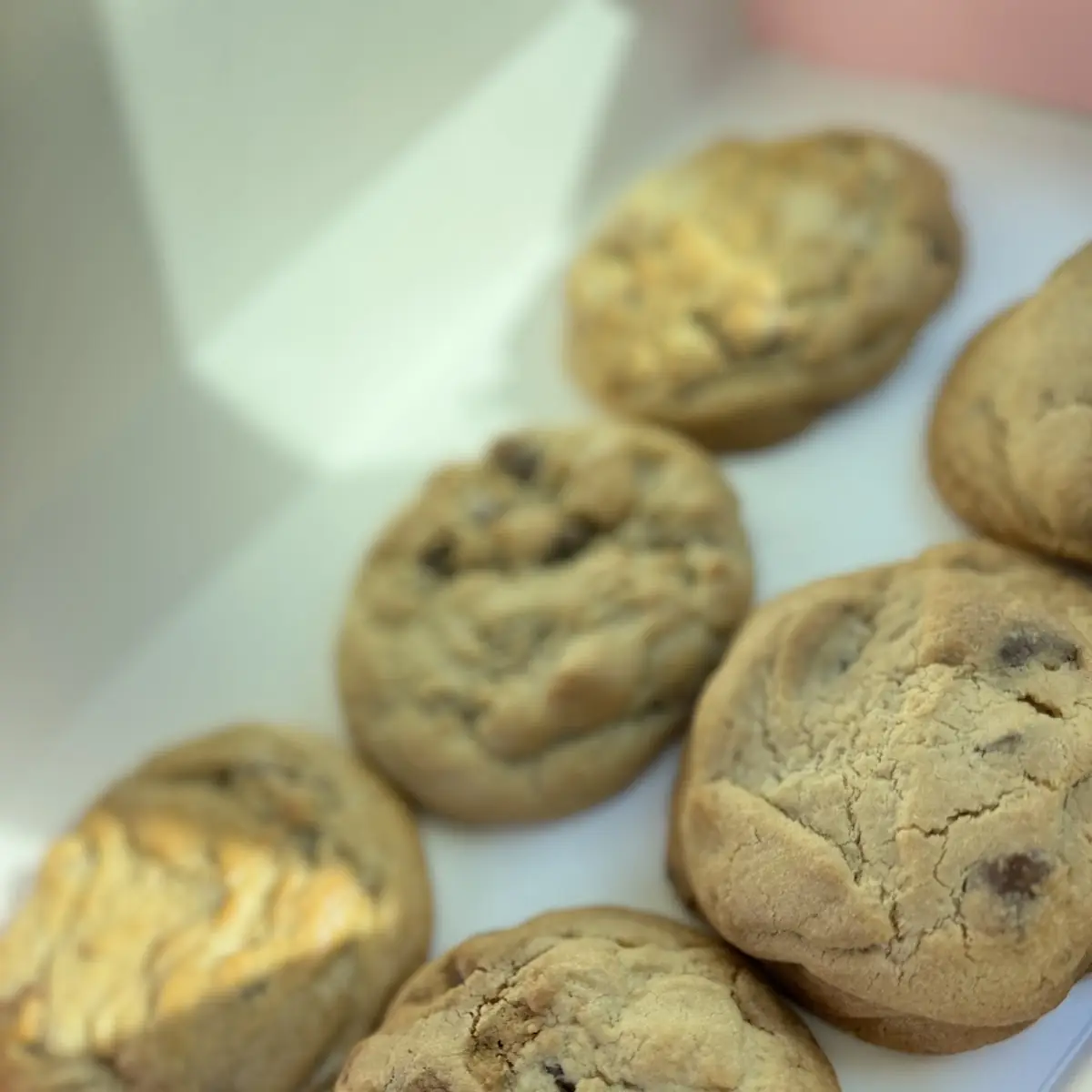 Chocolate Chip Cookie