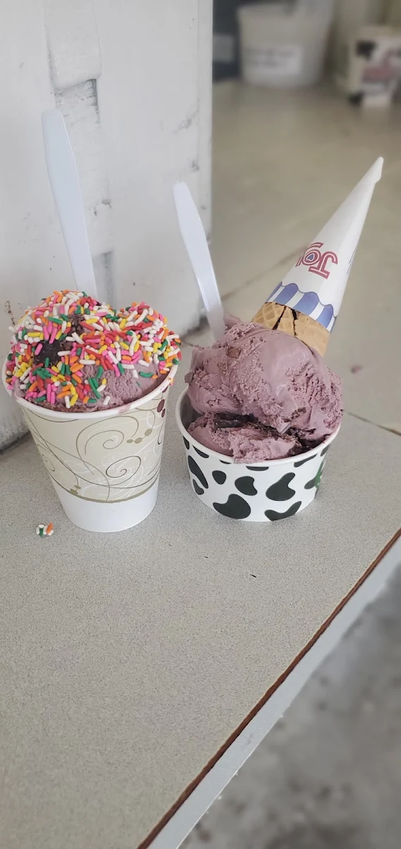 Black Raspberry with Chocolate Chip