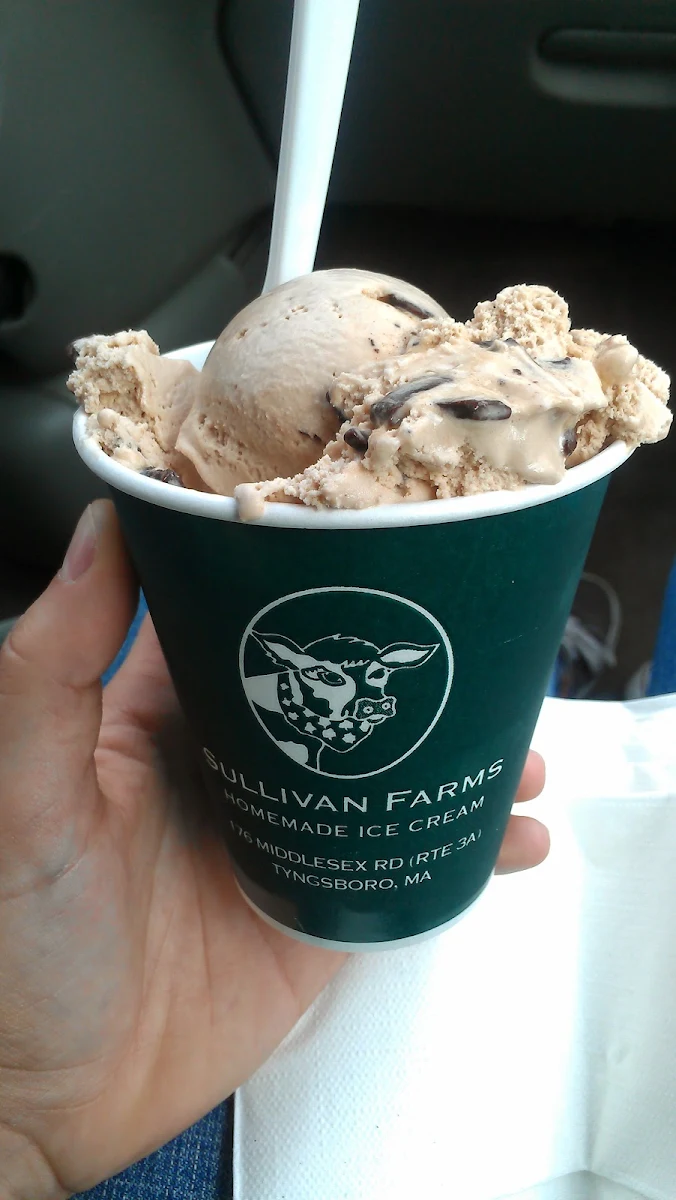 Milky Way Ice Cream