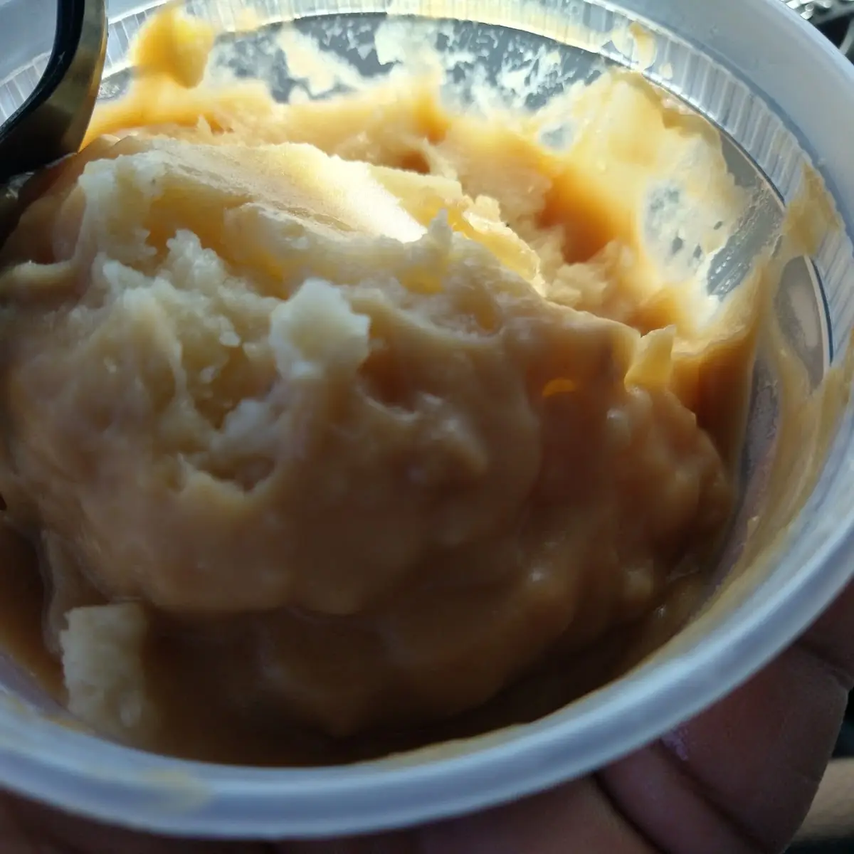 Mashed Potatoes with Gravy