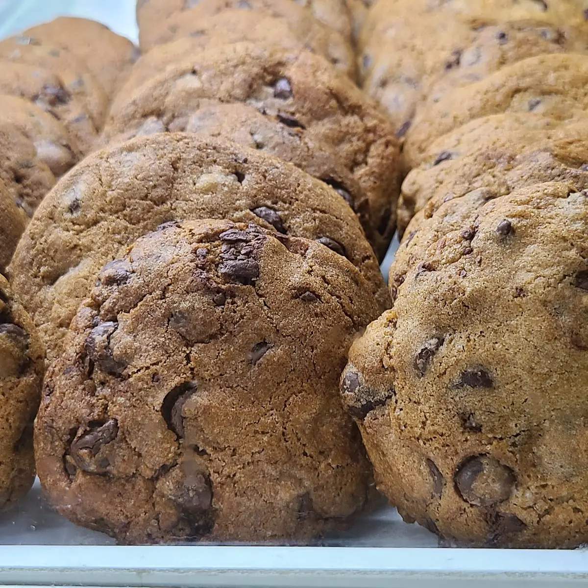 Chocolate Chip Cookie