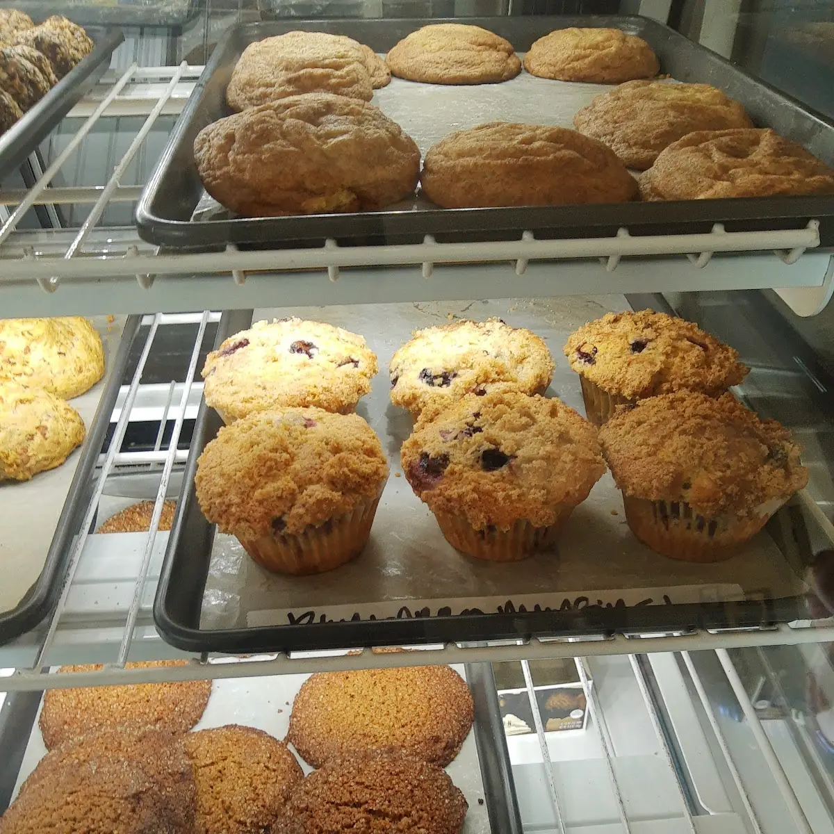Blueberry Muffin