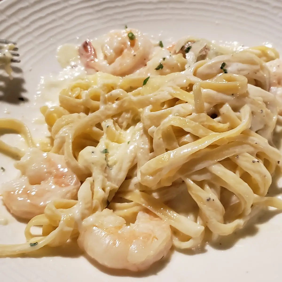 Shrimp Alfredo