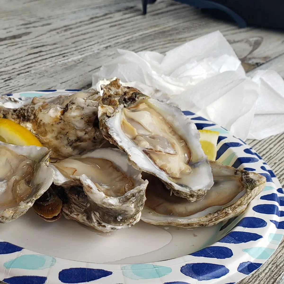 Oysters on the Half Shell