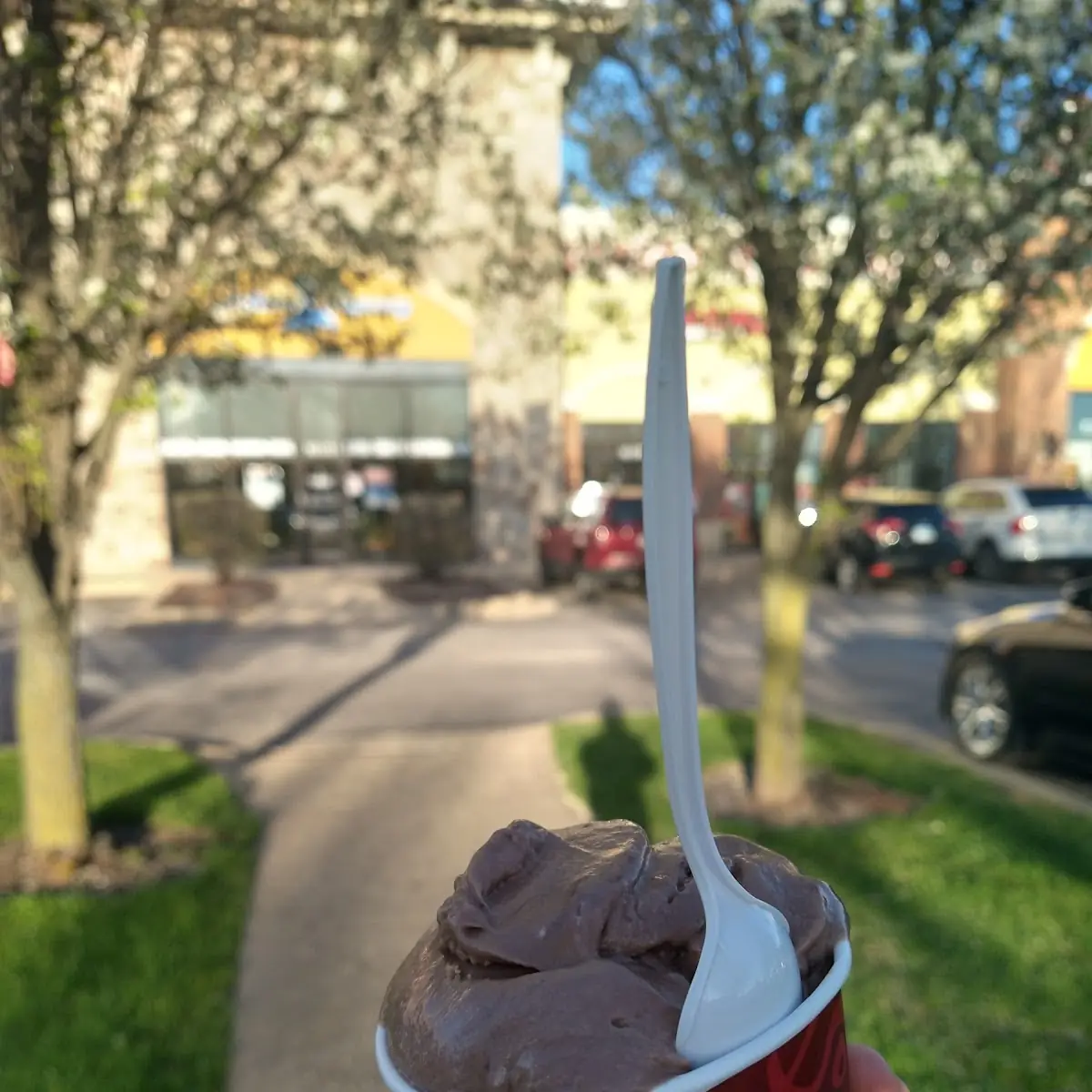 Silk Chocolate Almondmilk Frozen Dessert - Sample