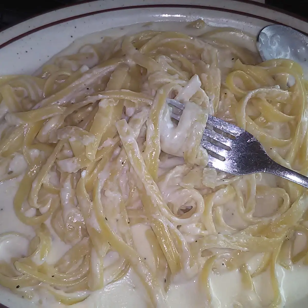 Shrimp Alfredo