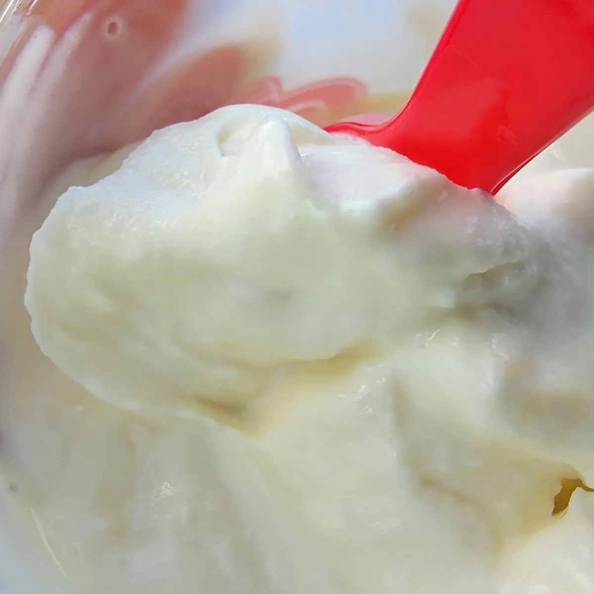 Whipped Cream