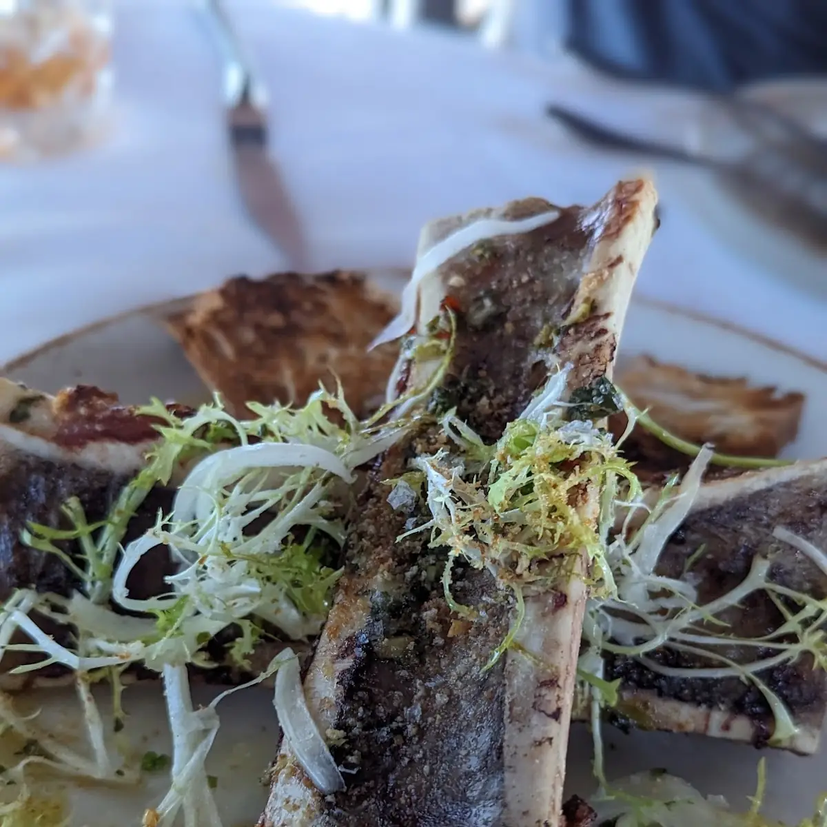 Bone Marrow