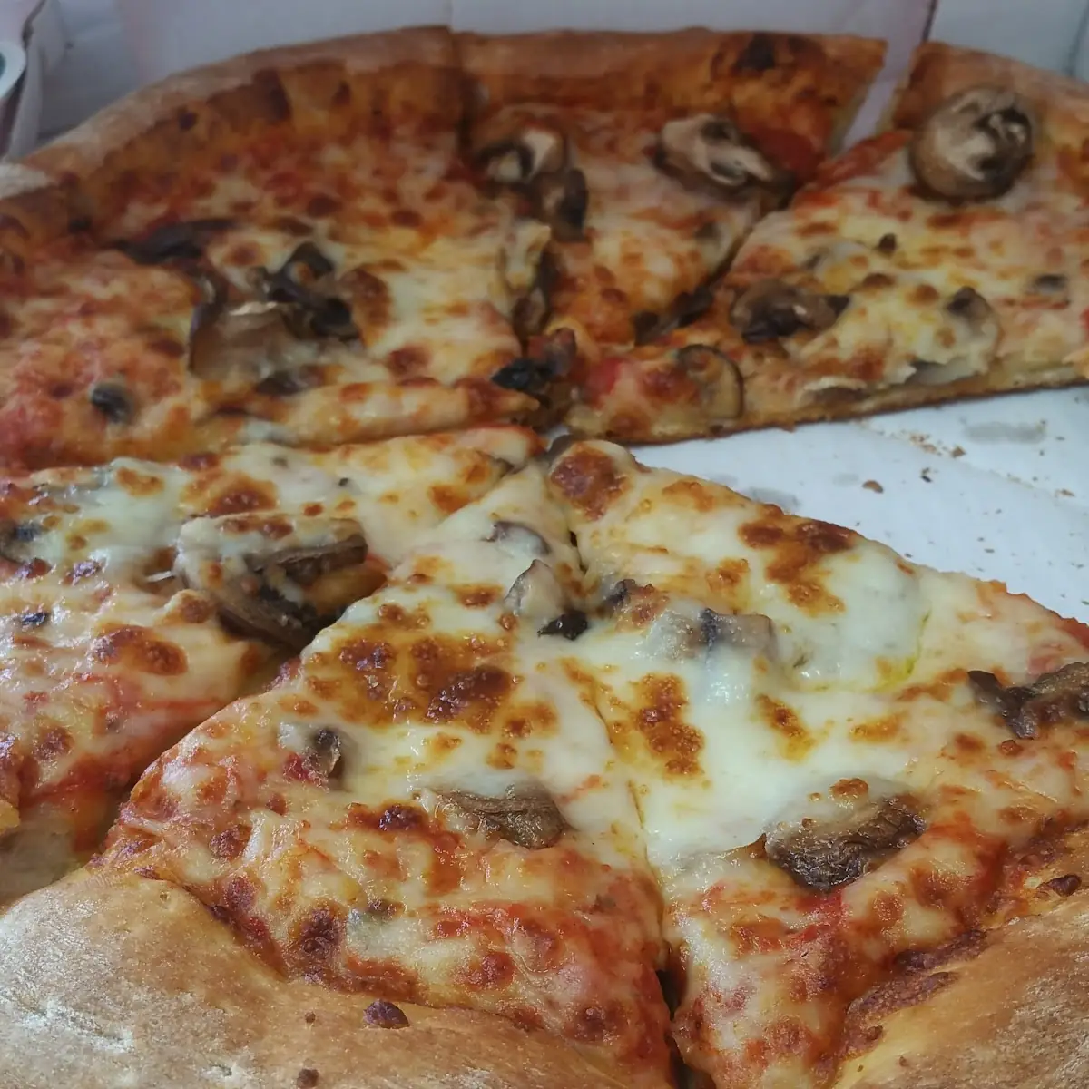 Mushroom Pizza