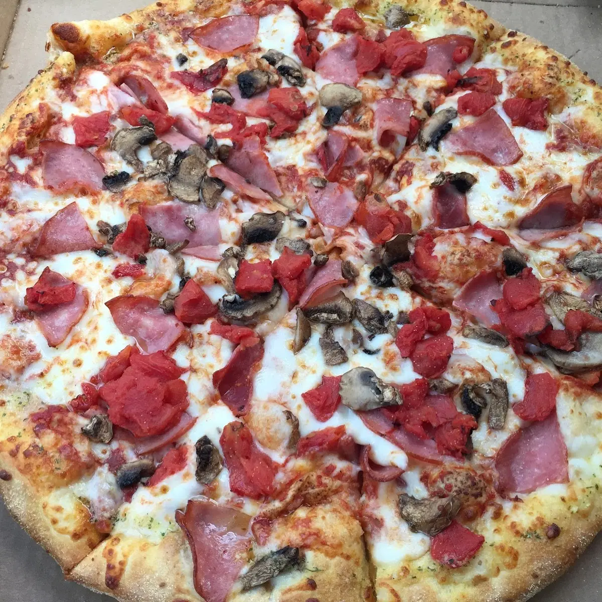 Meat Pizza