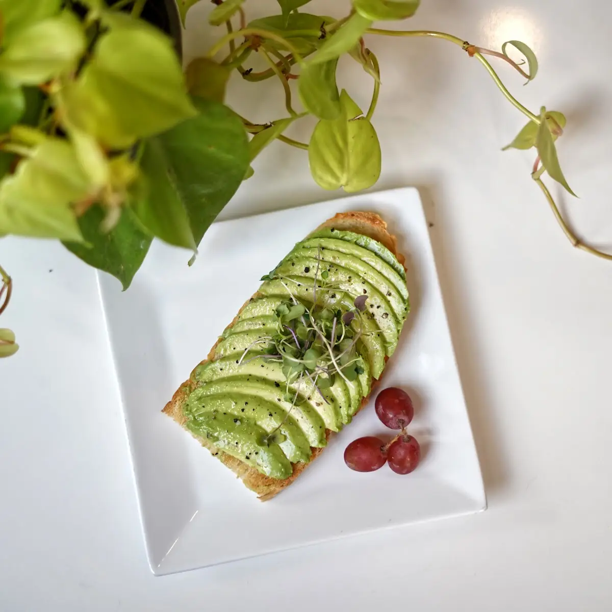 Avocado Toast