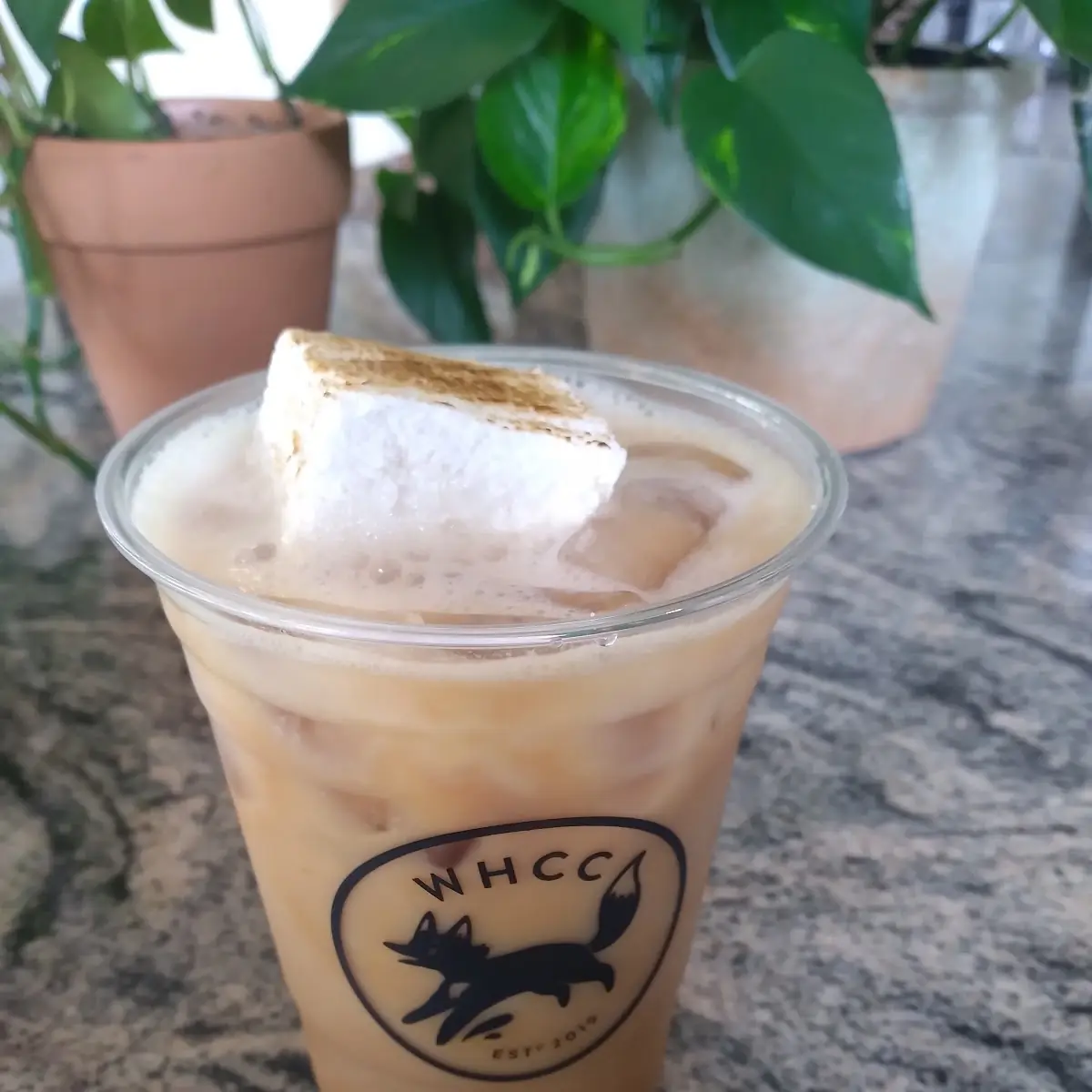 Sugar-Free Camp Fire Coffee