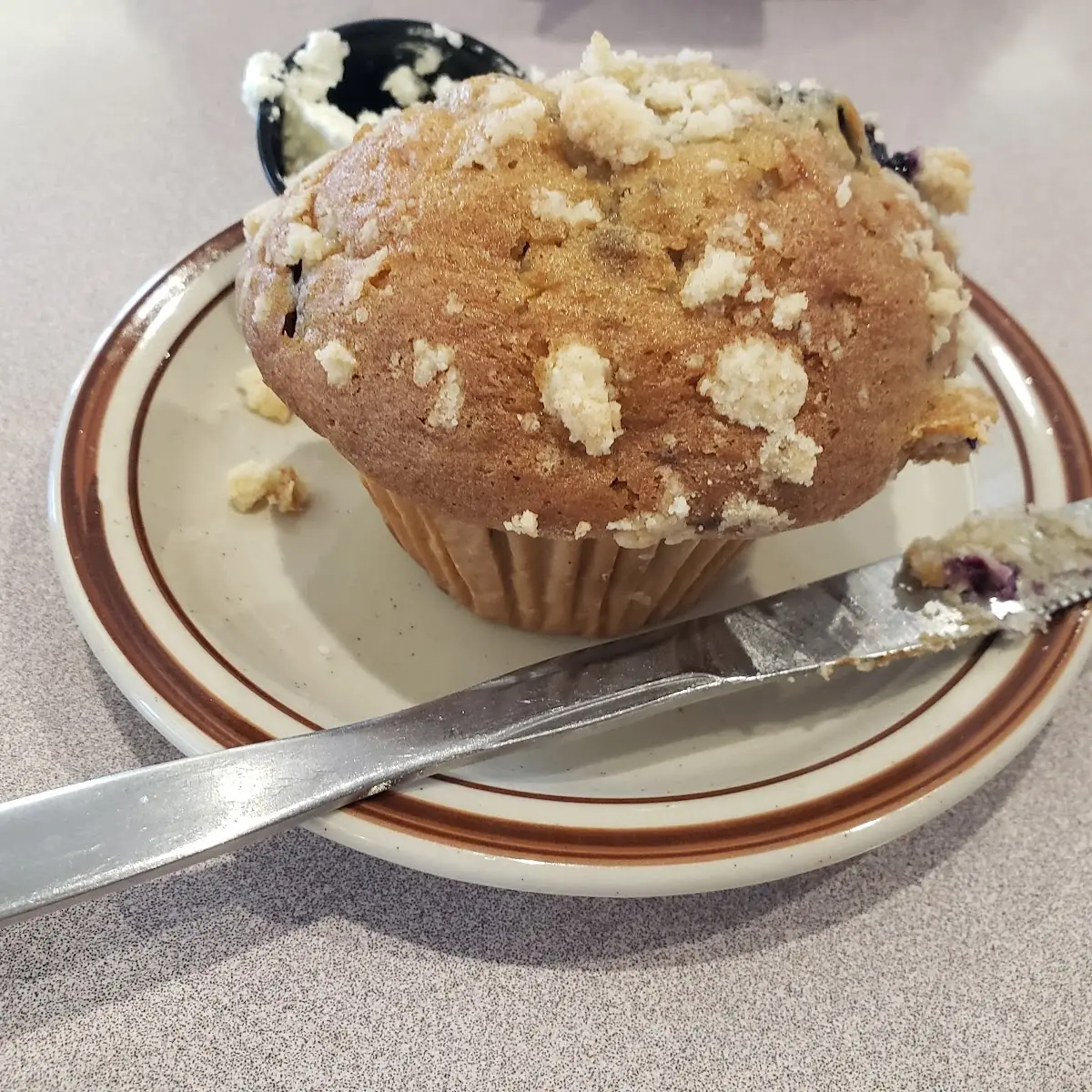 Homemade from Scratch Blueberry Muffin
