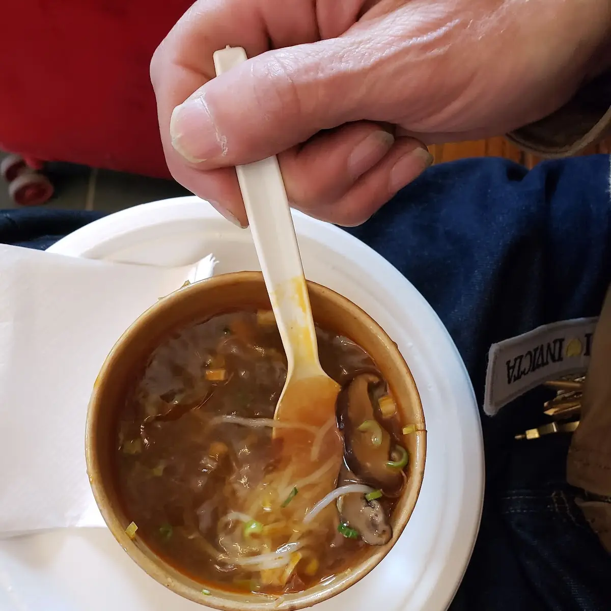 Chicken Noodle Soup